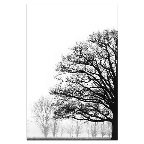 Tableau Arbre Noir et Blanc Mon Arbre et Moi