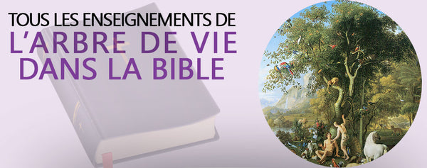 Arbre de Vie Signification Bible